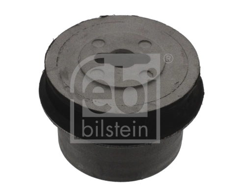 Mounting, control/trailing arm